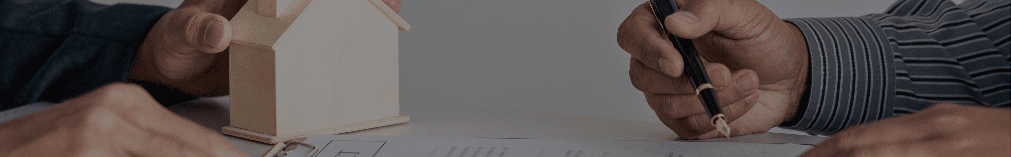 Banner 1