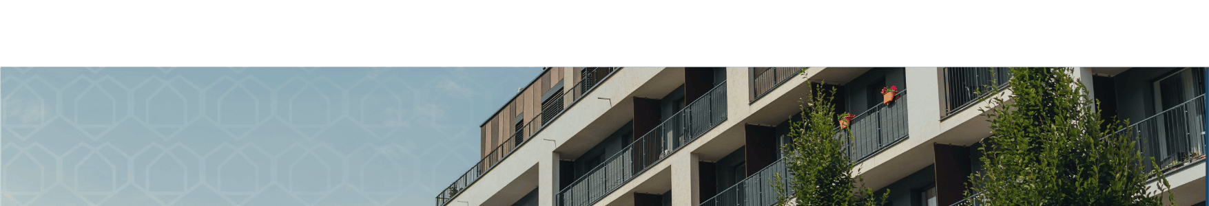 bg-image-topo-imovs-w1rv0j