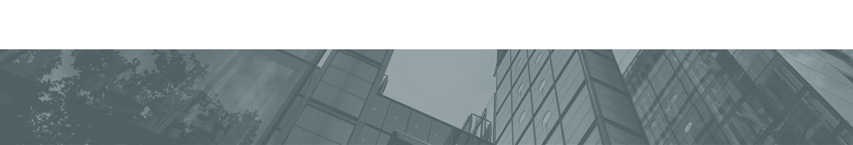 bg-image-topo-services-w1rv0j