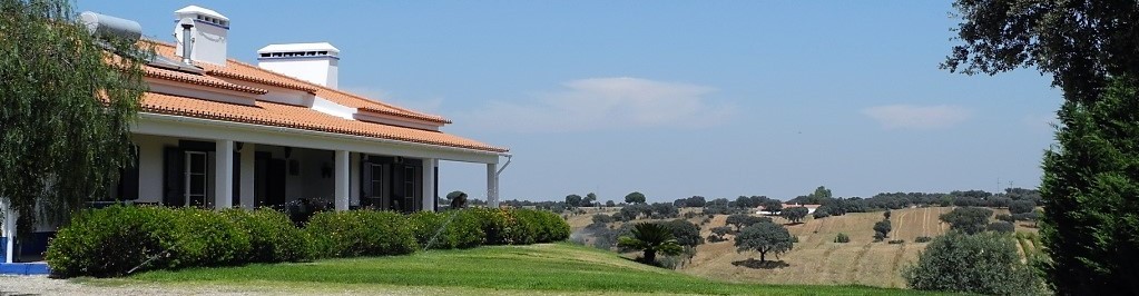 bg-image-topo-about-w6npoj