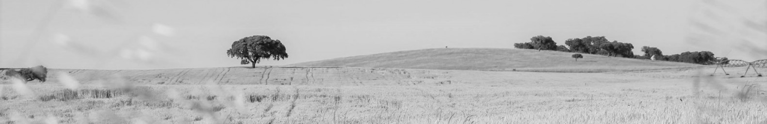 bg-image-topo-imovs-wlvqx3